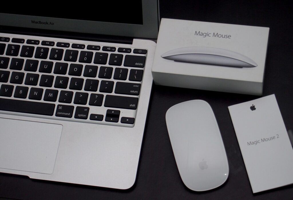 mouse