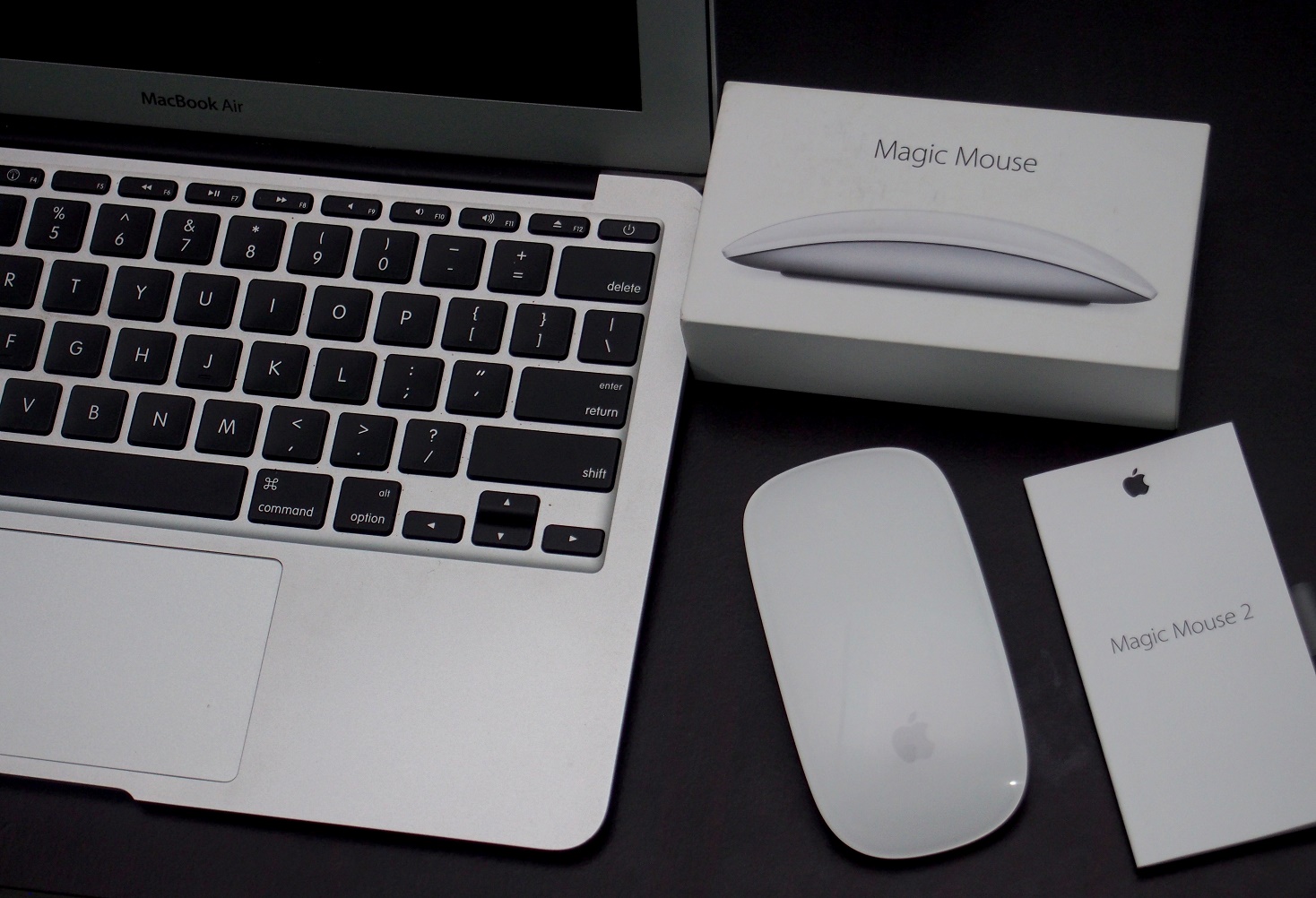 mouse