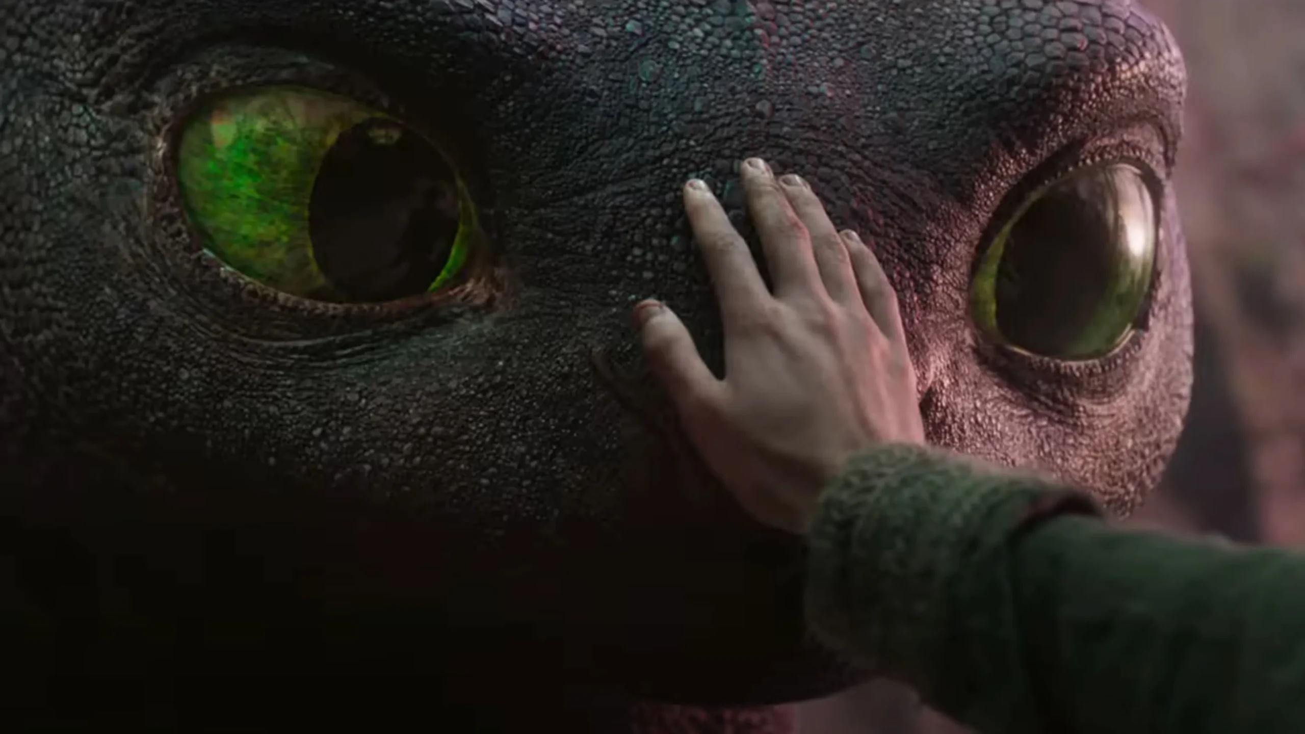 How to Train Your Dragon